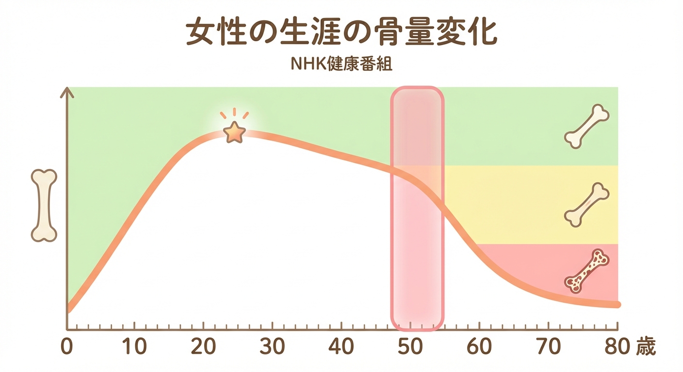 年齢による骨量の変化グラフ