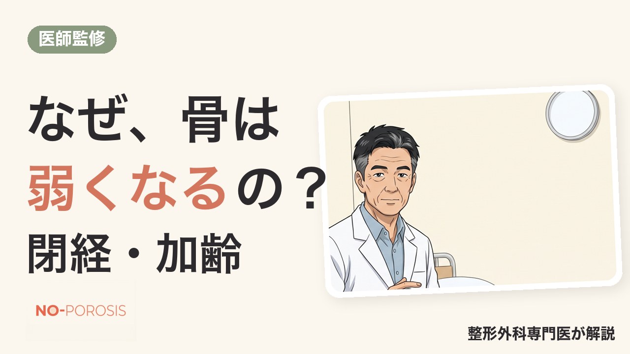 なぜ骨は弱くなるの？ 閉経・女性ホルモン・加齢と骨のしくみ