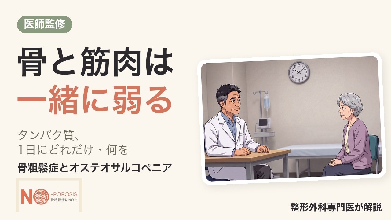 骨と筋肉は一緒に弱る オステオサルコペニア｜骨粗鬆症とタンパク質 1日にどれだけ、何を食べるか